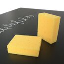 Schwamm 100x80x30mm, 2er Set